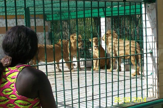 activity for children in dakar